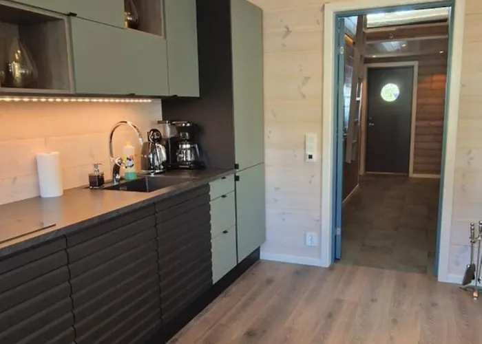 Andøy Vest Apartment Reine